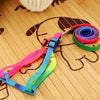 Pet Nylon Harness Collar Leash Lead