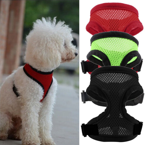 Nylon Harness Strap Vest Collar