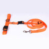 Jogging Puppy Dog Lead Collar