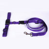 Jogging Puppy Dog Lead Collar