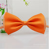 Fashion Cute Pet Bow Tie Necktie